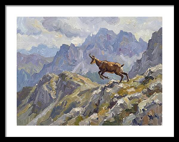 Chamois Bound In Alpine Landscape