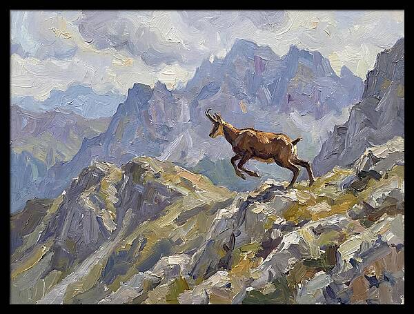 Chamois Bound In Alpine Landscape