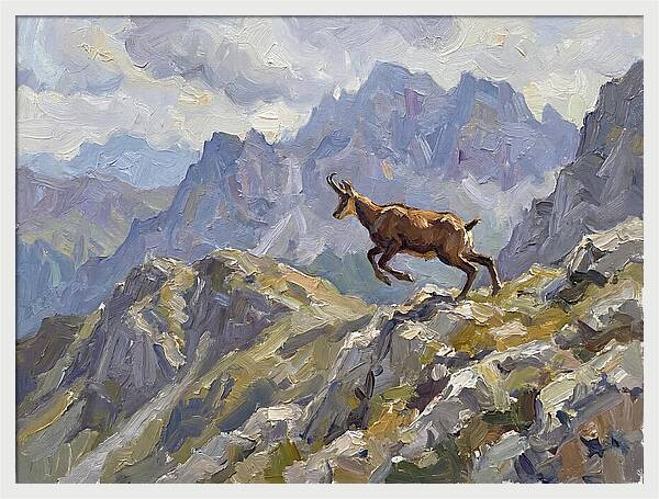 Chamois Bound In Alpine Landscape