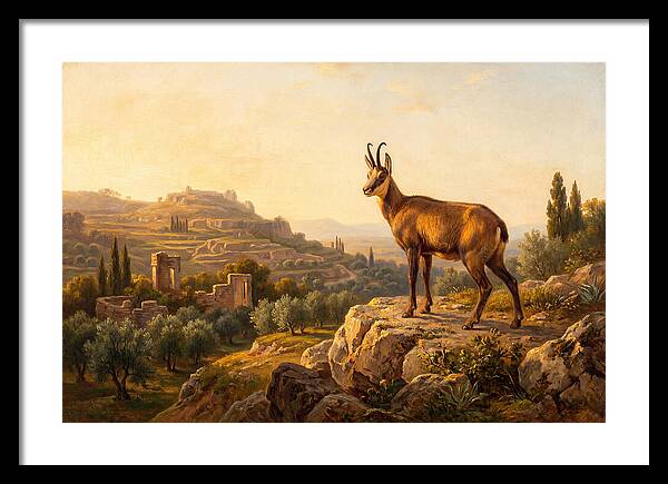 Chamois In Mediterranean Landscape