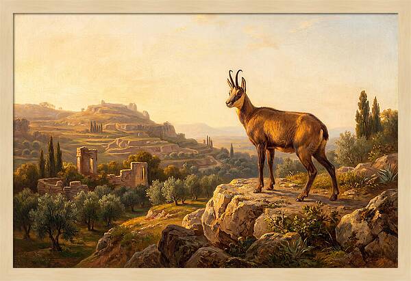 Chamois In Mediterranean Landscape