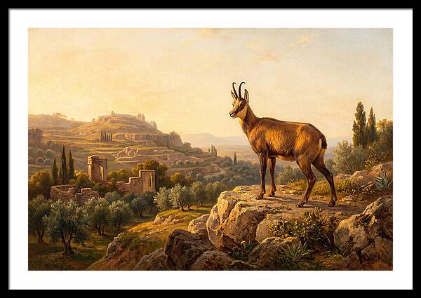 Chamois In Mediterranean Landscape