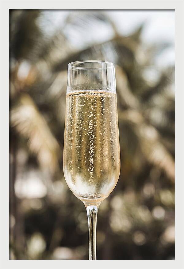 Champagne Flute With Bubbles