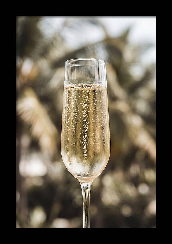 Champagne Flute With Bubbles