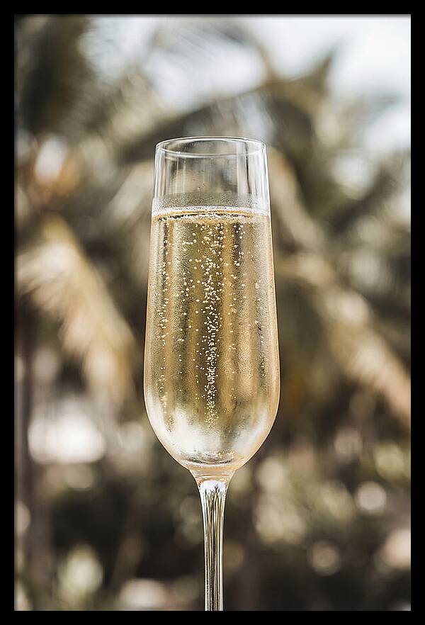 Champagne Flute With Bubbles