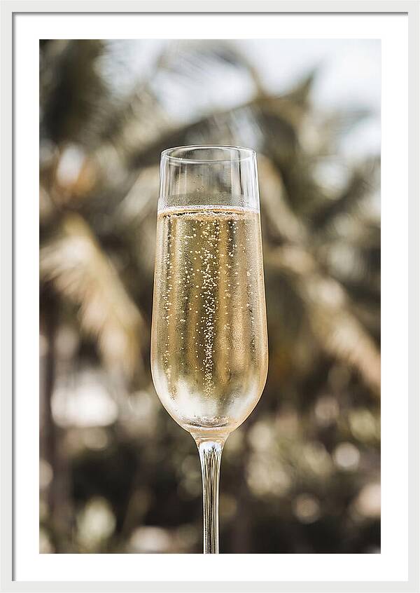 Champagne Flute With Bubbles