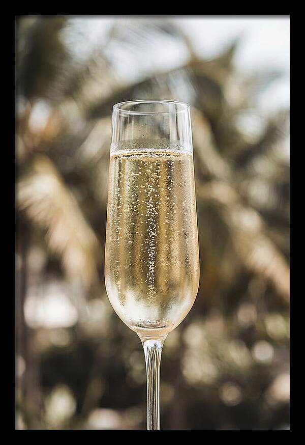Champagne Flute With Bubbles