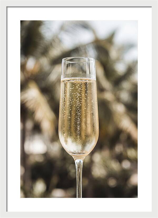 Champagne Flute With Bubbles