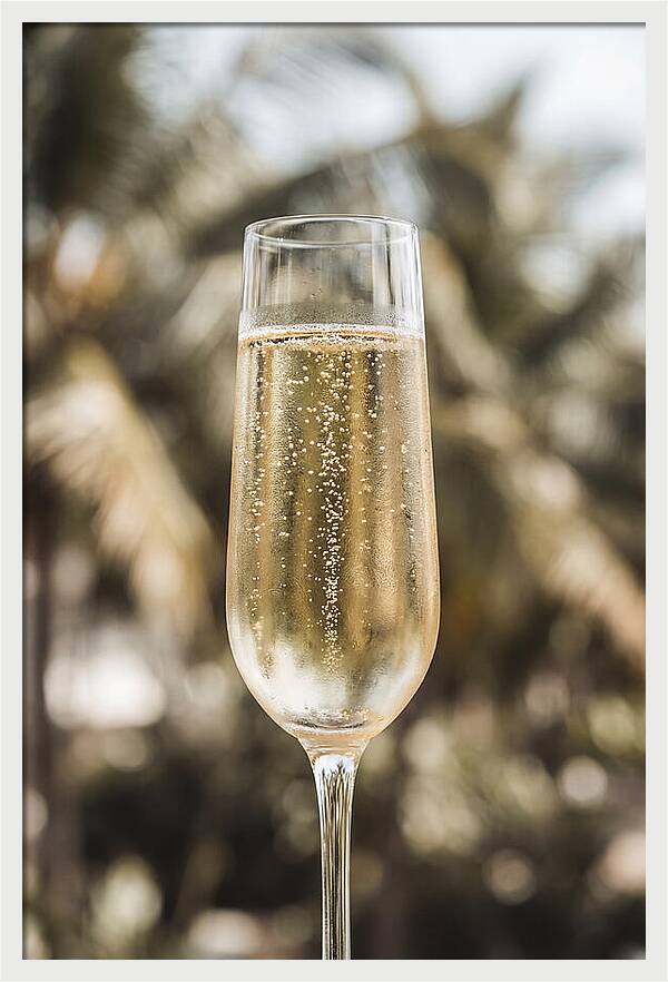 Champagne Flute With Bubbles