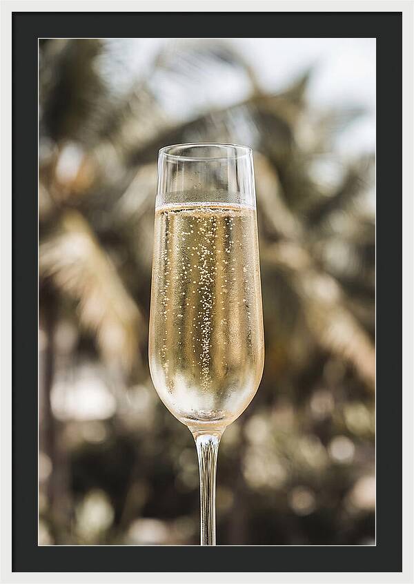 Champagne Flute With Bubbles