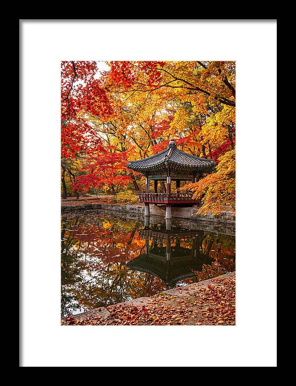 Changdeokgung Secret Garden Serenity