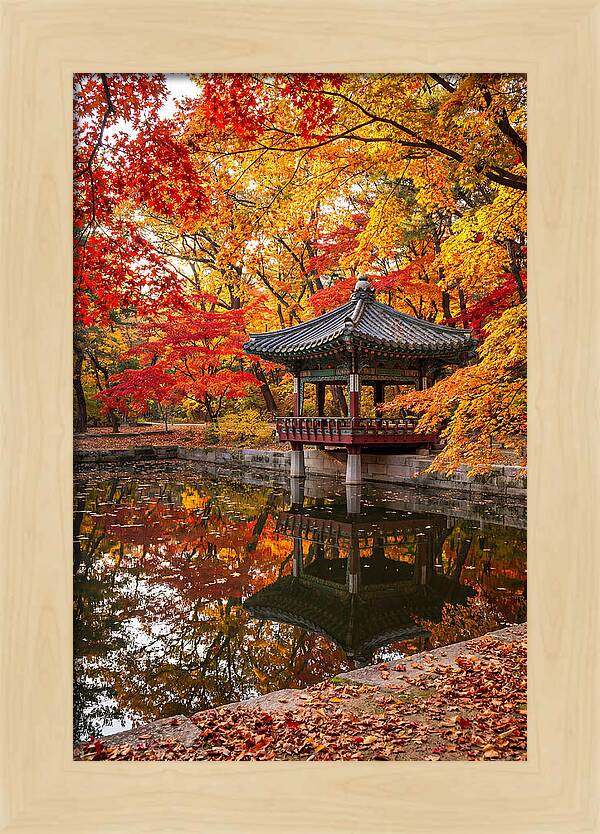 Changdeokgung Secret Garden Serenity