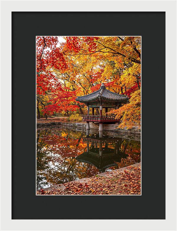 Changdeokgung Secret Garden Serenity