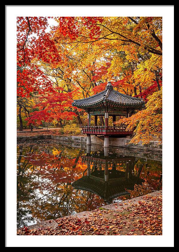 Changdeokgung Secret Garden Serenity