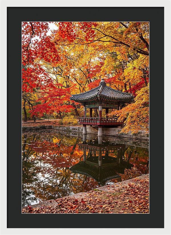 Changdeokgung Secret Garden Serenity