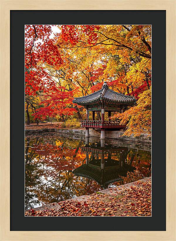Changdeokgung Secret Garden Serenity