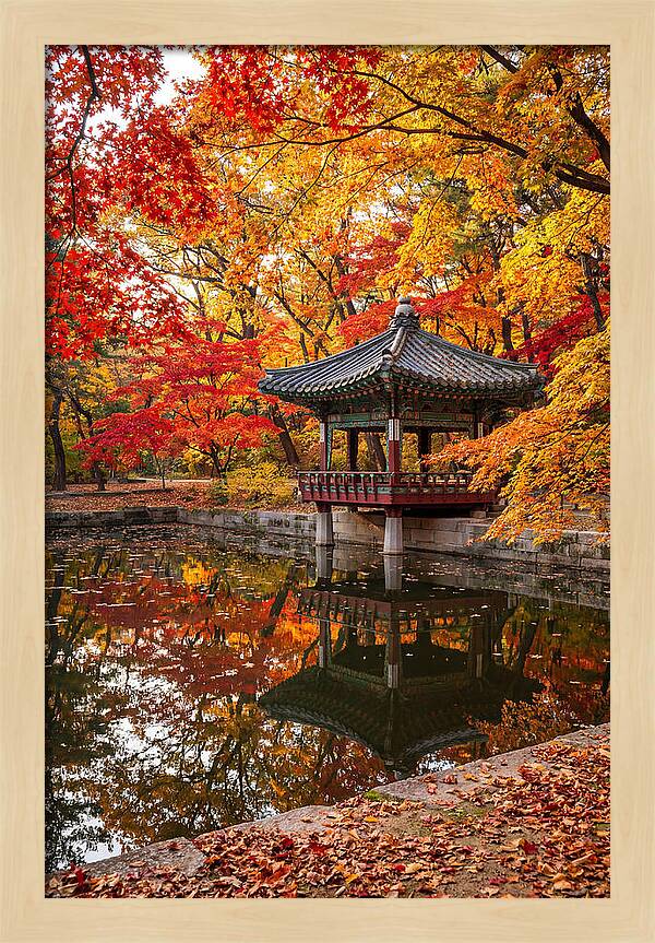 Changdeokgung Secret Garden Serenity