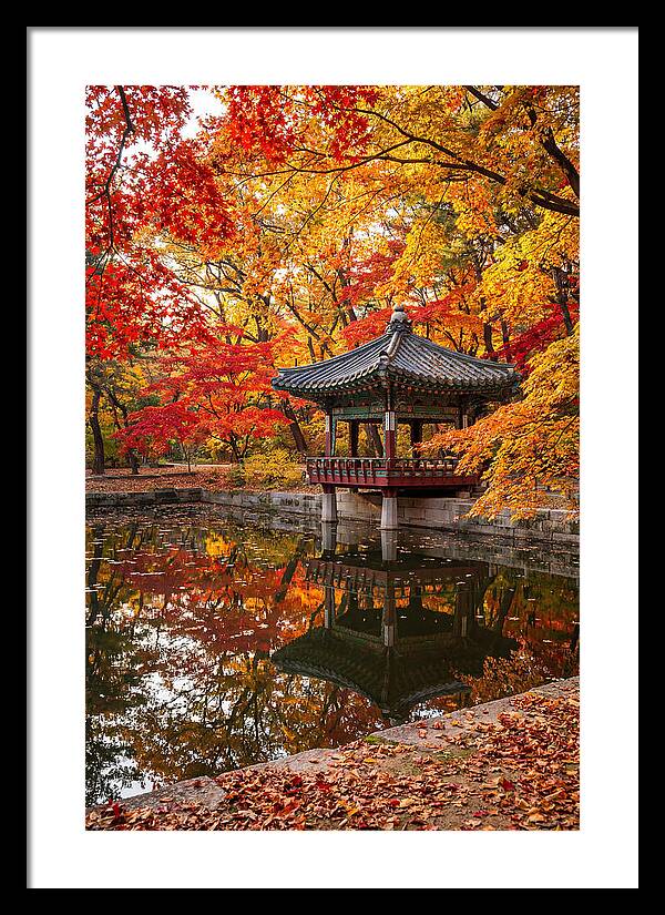 Changdeokgung Secret Garden Serenity