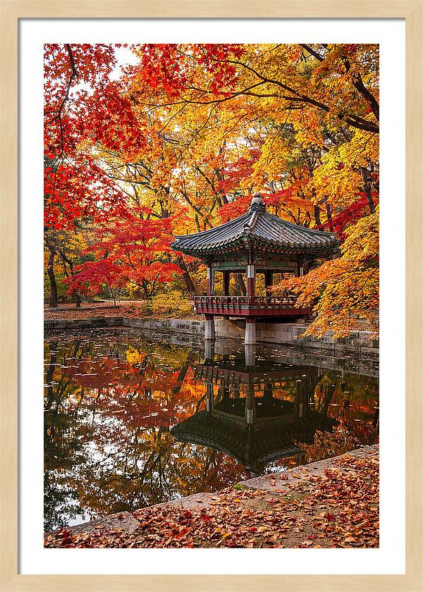 Changdeokgung Secret Garden Serenity