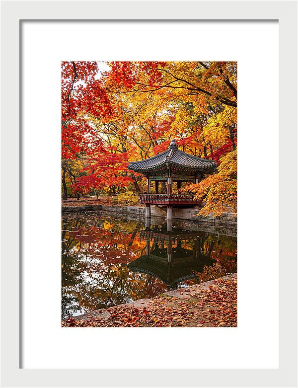 Changdeokgung Secret Garden Serenity
