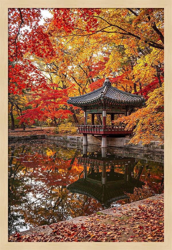 Changdeokgung Secret Garden Serenity