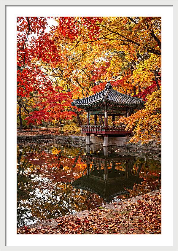 Changdeokgung Secret Garden Serenity