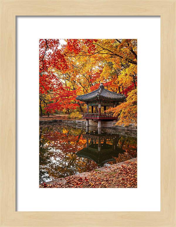 Changdeokgung Secret Garden Serenity