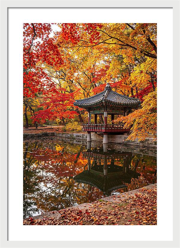 Changdeokgung Secret Garden Serenity