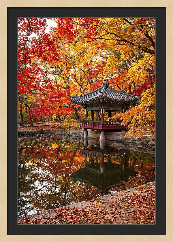 Changdeokgung Secret Garden Serenity