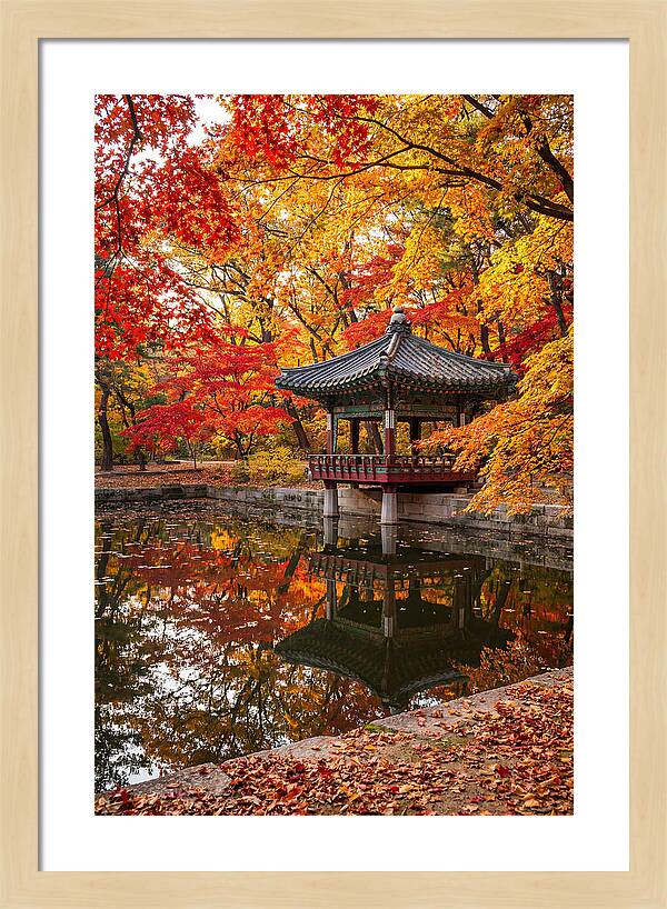 Changdeokgung Secret Garden Serenity