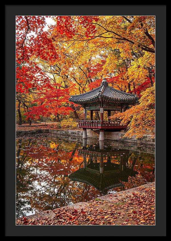 Changdeokgung Secret Garden Serenity