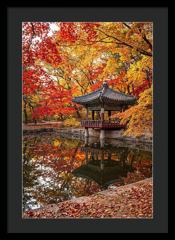 Changdeokgung Secret Garden Serenity
