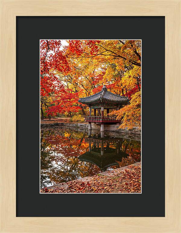 Changdeokgung Secret Garden Serenity