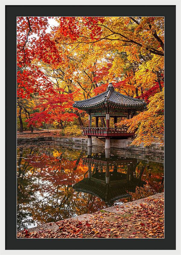 Changdeokgung Secret Garden Serenity