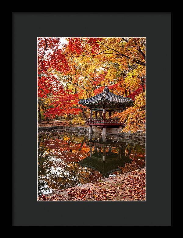 Changdeokgung Secret Garden Serenity