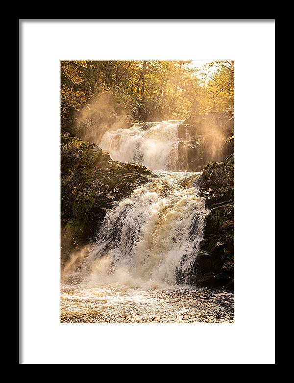 Chapman Falls Serenity