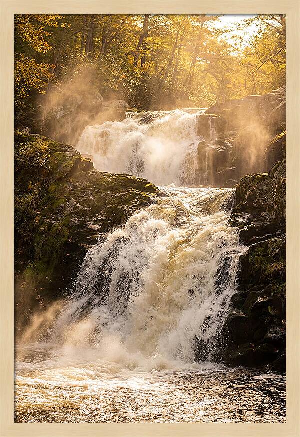 Chapman Falls Serenity