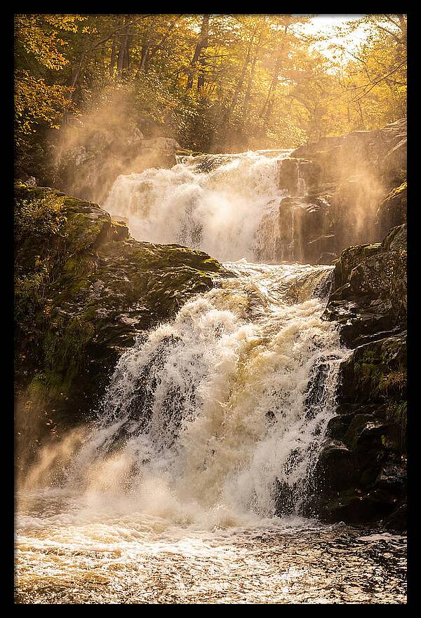 Chapman Falls Serenity