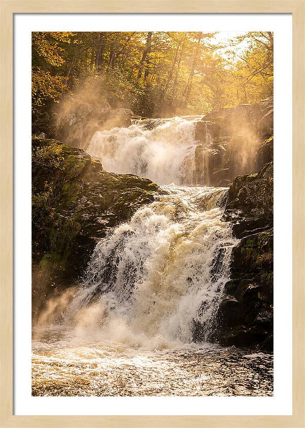 Chapman Falls Serenity