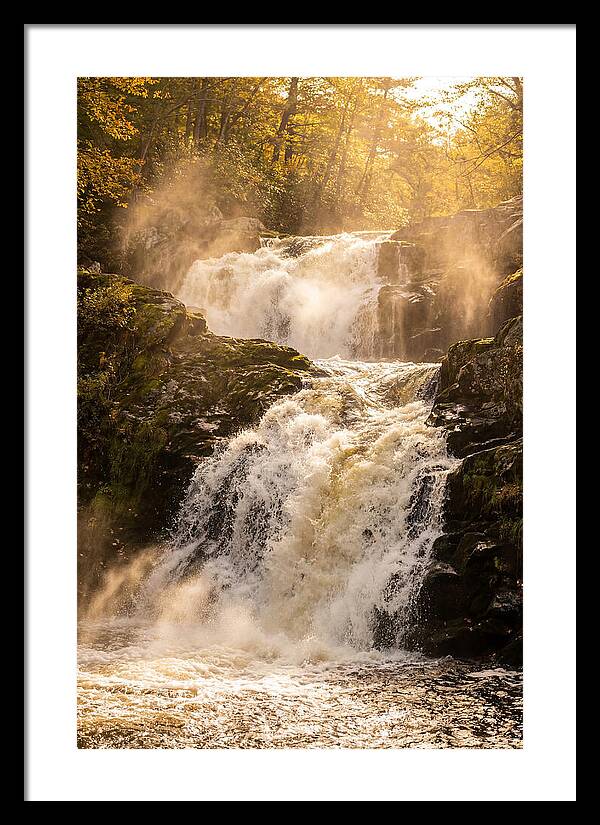 Chapman Falls Serenity