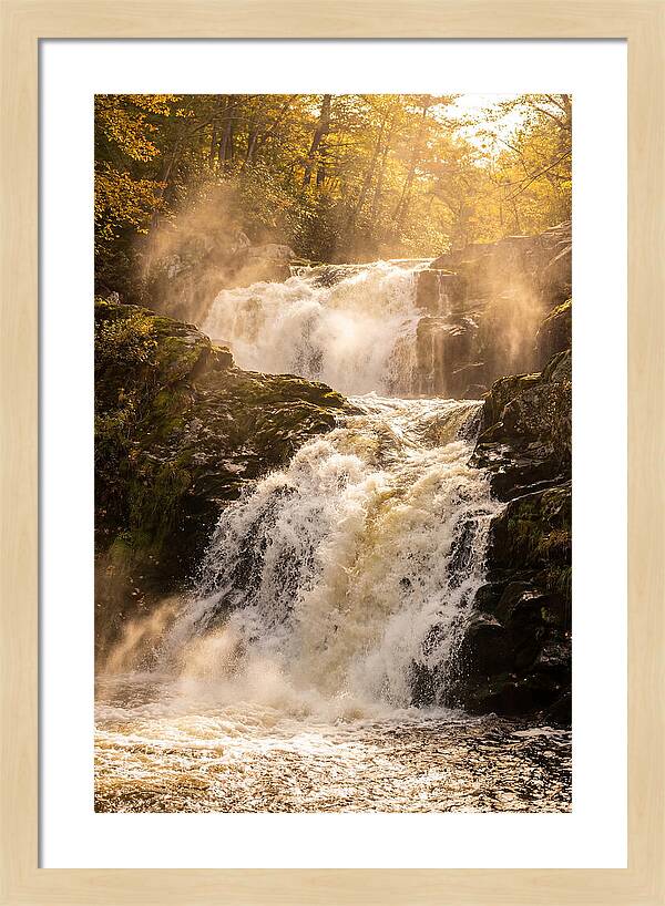 Chapman Falls Serenity