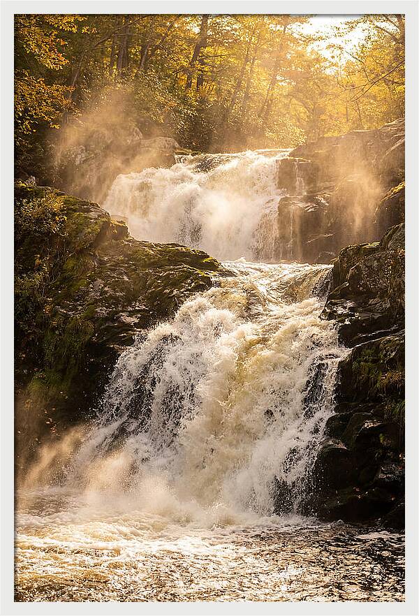 Chapman Falls Serenity