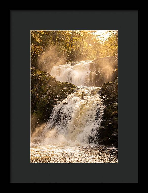 Chapman Falls Serenity