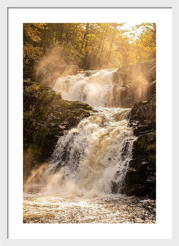 Chapman Falls Serenity
