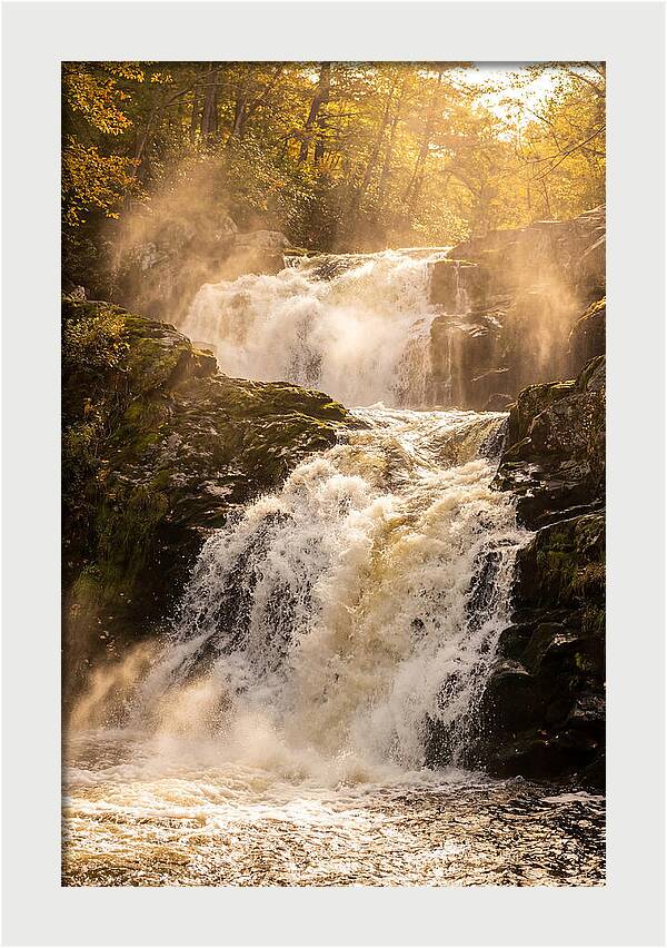 Chapman Falls Serenity