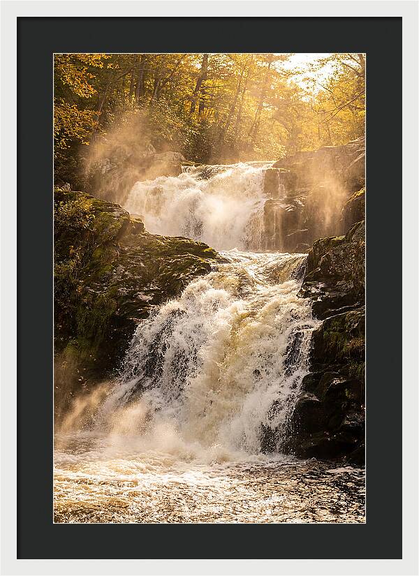 Chapman Falls Serenity