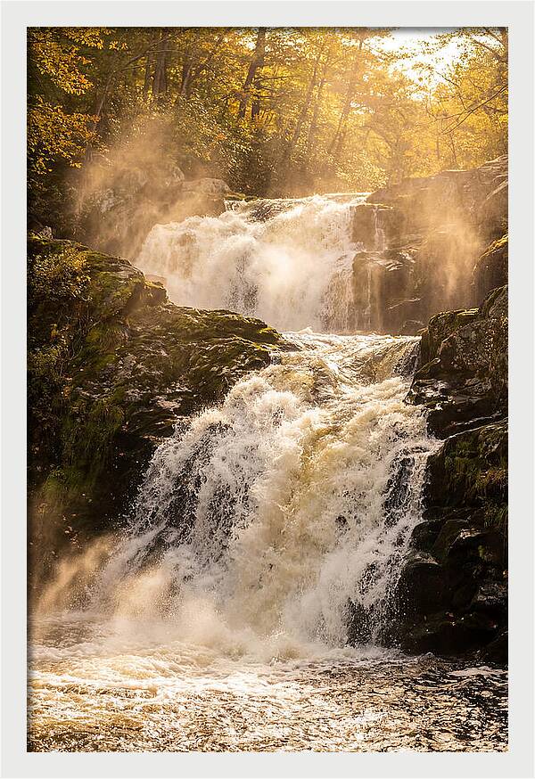 Chapman Falls Serenity