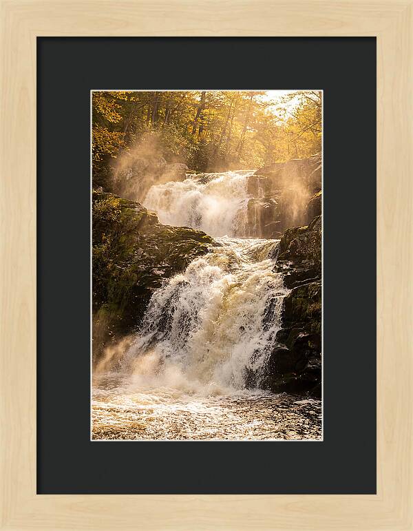 Chapman Falls Serenity