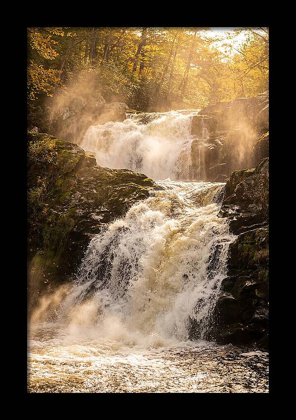 Chapman Falls Serenity