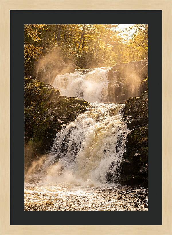 Chapman Falls Serenity